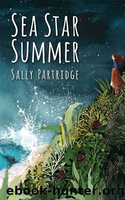 Sea Star Summer by Sally Ann Partridge