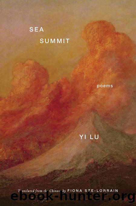 Sea Summit by Yi Lu