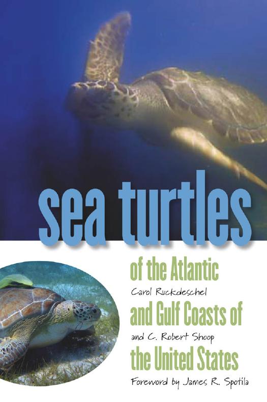 Sea Turtles of the Atlantic and Gulf Coasts of the United States by Carol Ruckdeschel & C. Robert Shoop & Meg Hoyle Photo Editor Foreword by