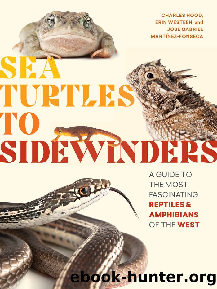 Sea Turtles to Sidewinders by Charles Hood