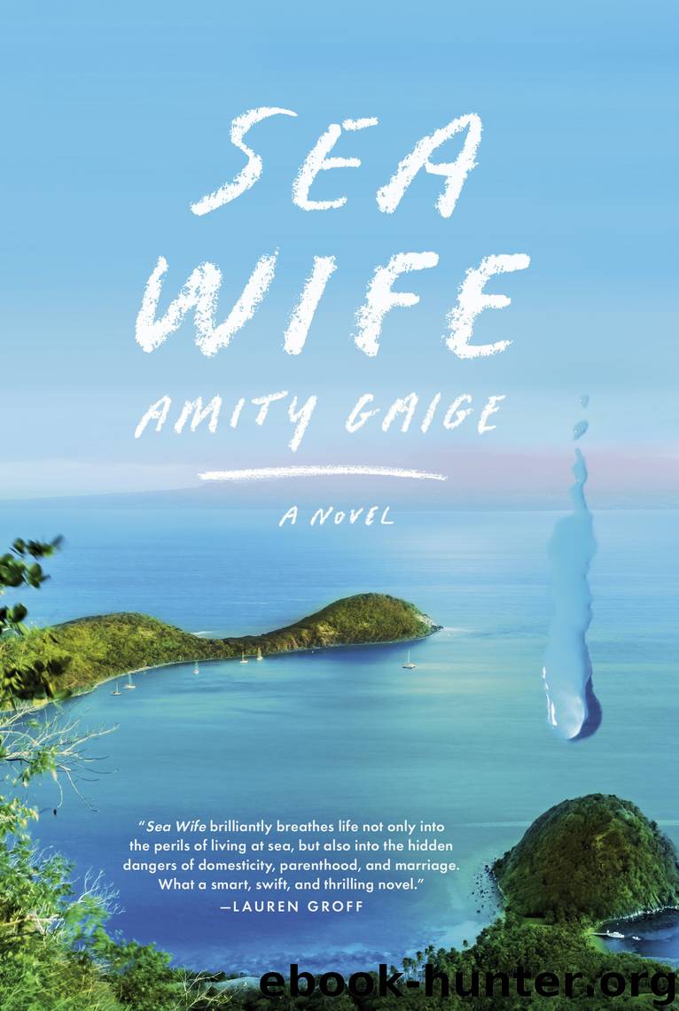 Sea Wife by Amity Gaige