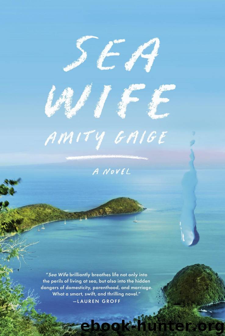 Sea Wife: A Novel by Amity Gaige