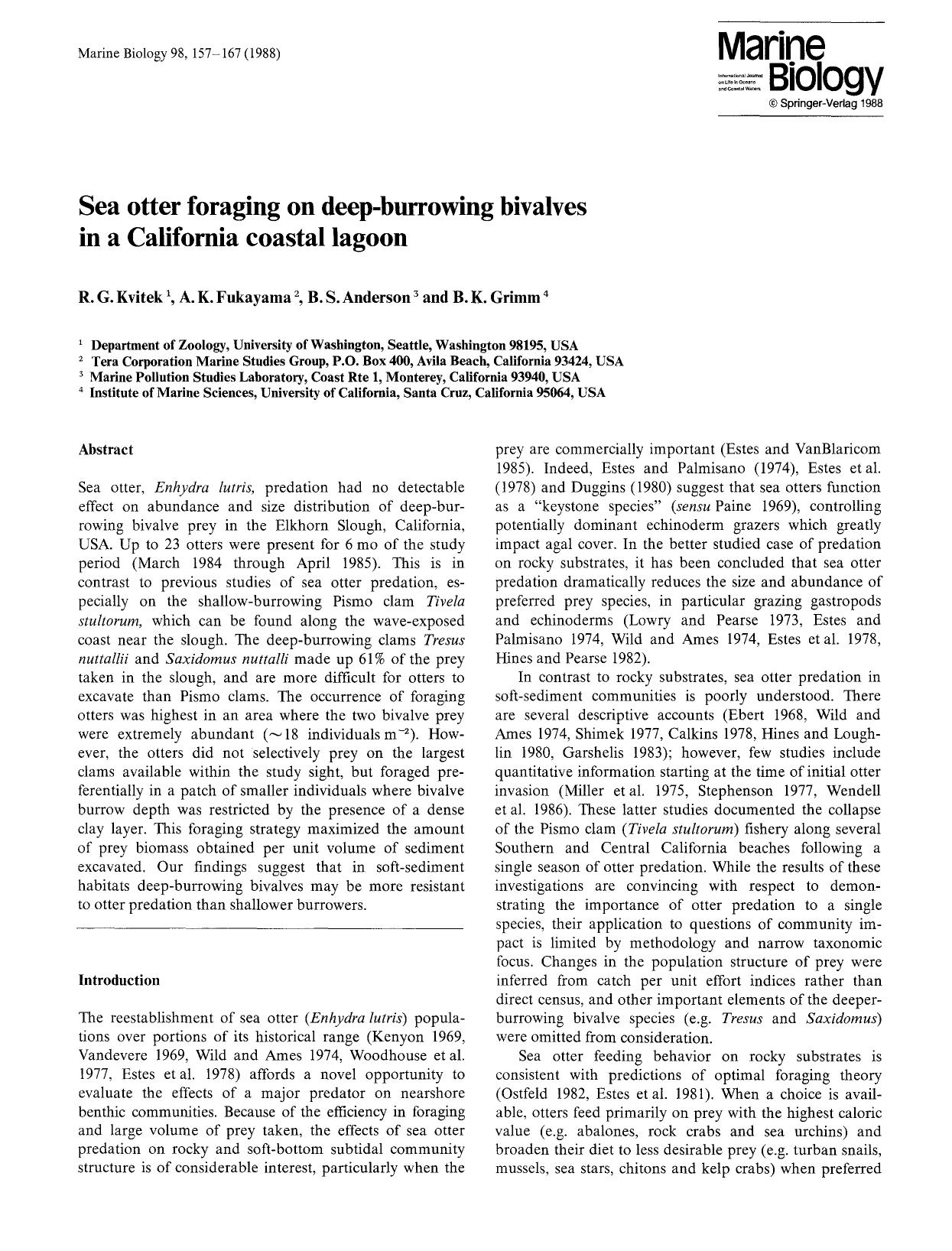 Sea otter foraging on deep-burrowing bivalves in a California coastal lagoon by Unknown