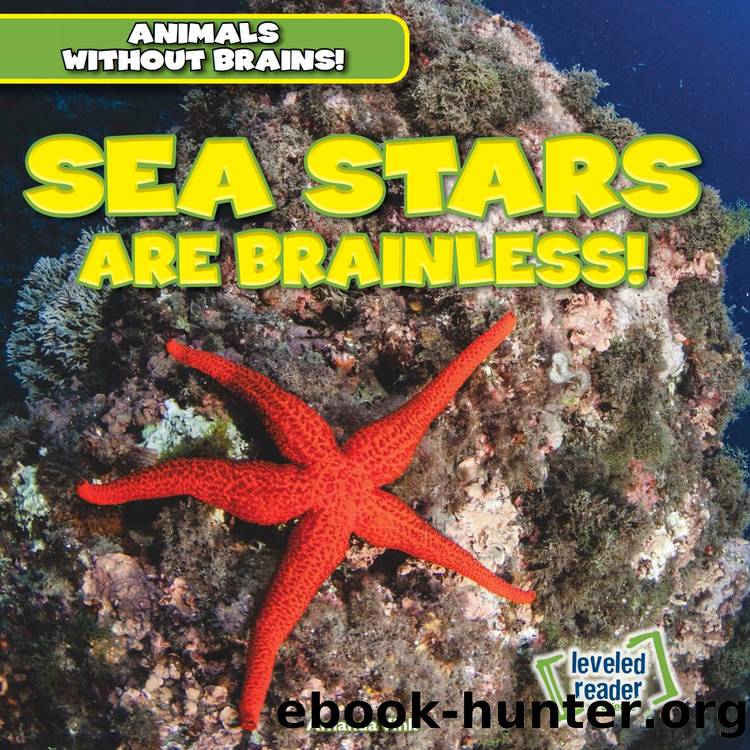 Sea stars are brainless! by Amanda Vink