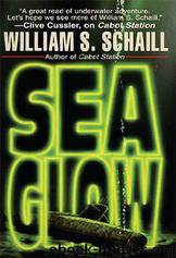 Seaglow by William Schaill