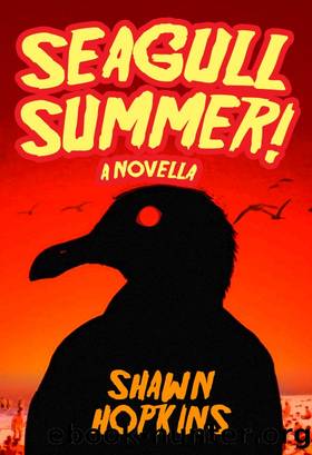 Seagull Summer_A Novella by Shawn Hopkins