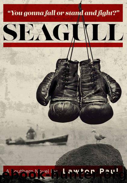 Seagull: A Southern Novel by Paul Lawton