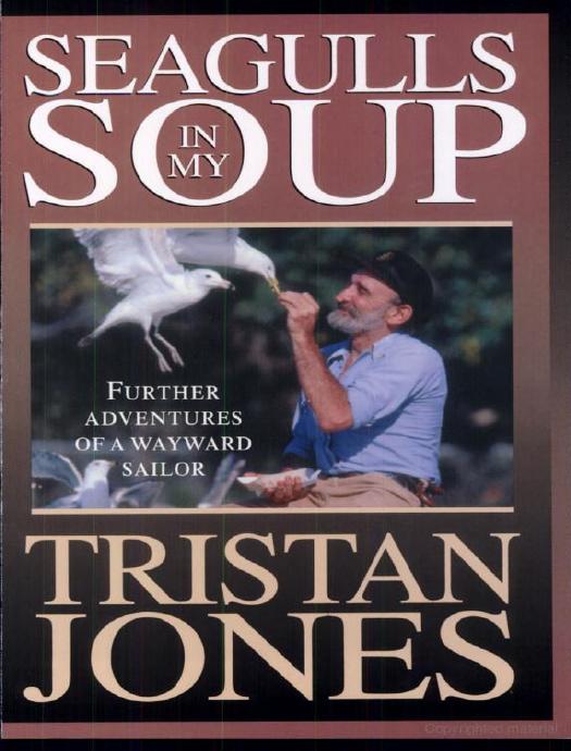 Seagulls in My Soup by Tristan Jones