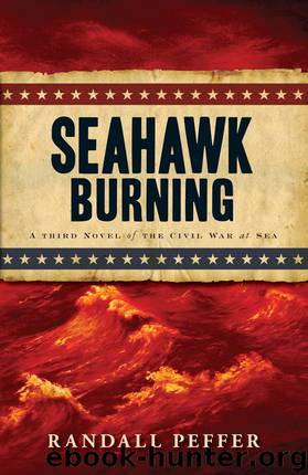 Seahawk Burning by Randall Peffer
