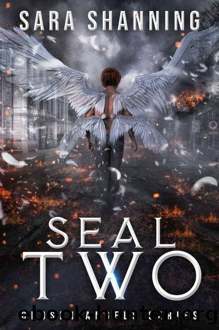 Seal Two: Chosen Angel Series by Sara Shanning