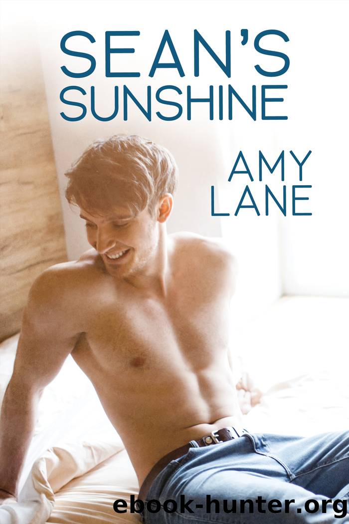 Sean's Sunshine by Amy Lane