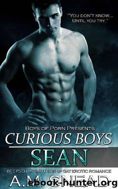 Sean: Curious Boys (Boys of Porn) by A.M. Snead & CJ Bishop