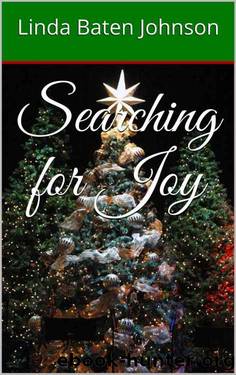 Searching for Joy by Linda Baten Johnson