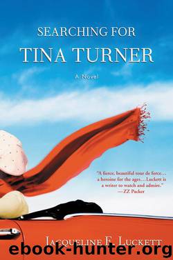 Searching for Tina Turner by Jacqueline E. Luckett