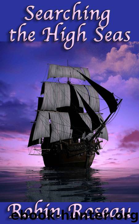 Searching the High Seas (Privateer Book 2) by Robin Roseau