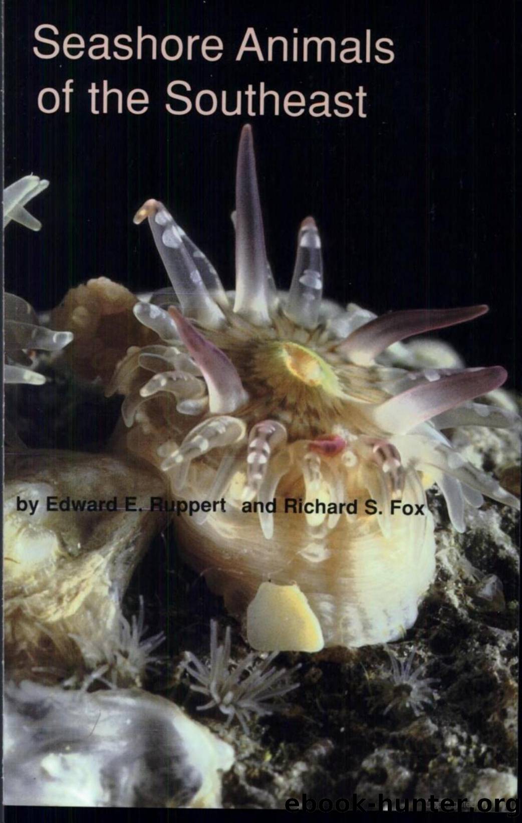 Seashore animals of the Southeast by By Edward E. Ruppert Richard S. Fox