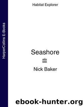 Seashore by Nick Baker