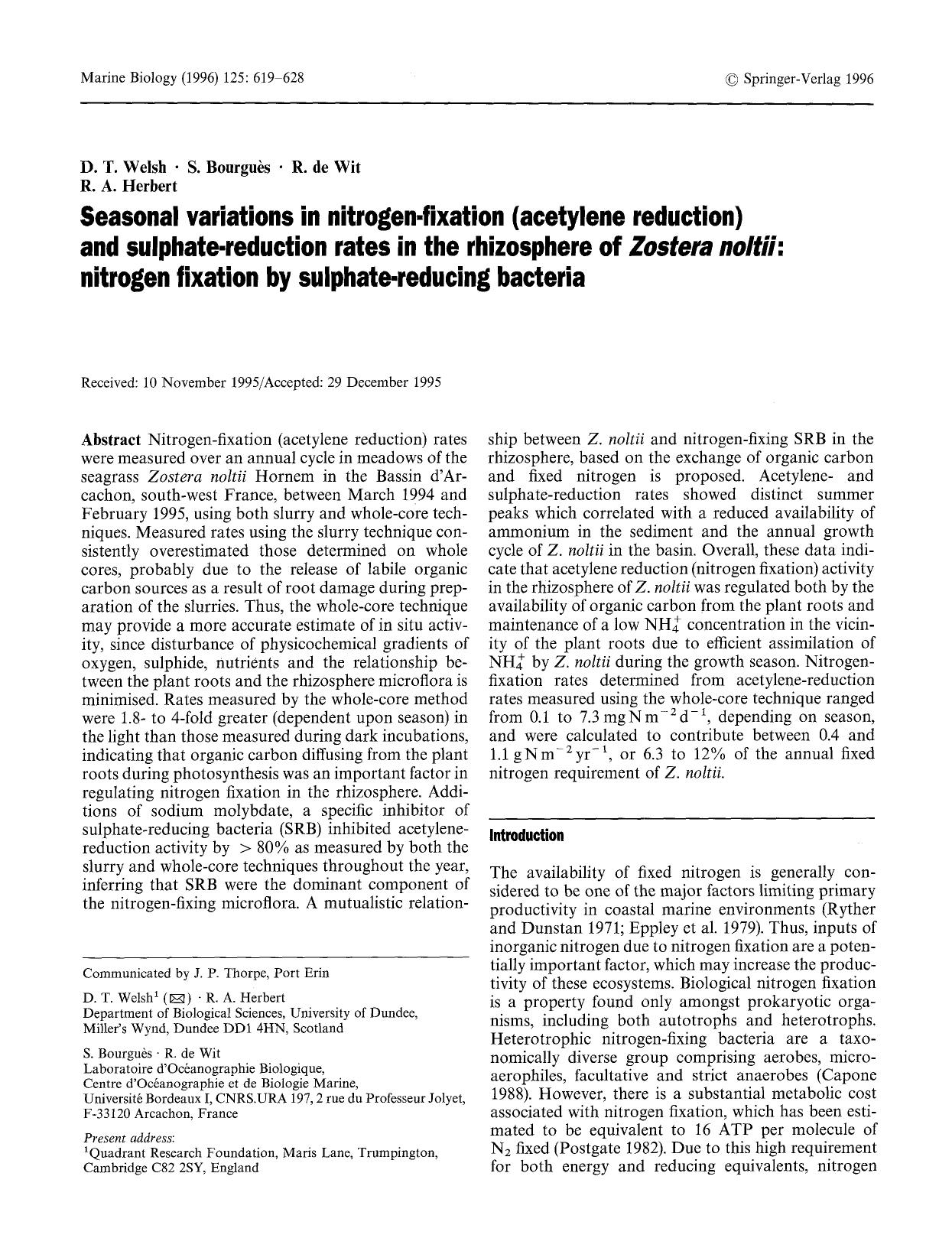 Seasonal variations in nitrogen-fixation (acetylene reduction) and sulphate-reduction rates in the rhizosphere of <Emphasis Type="Italic">Zostera noltii<Emphasis>: nitrogen fixatio by Unknown
