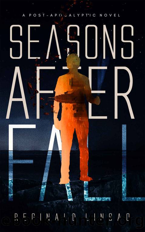Seasons After Fall by Reginald Linsao