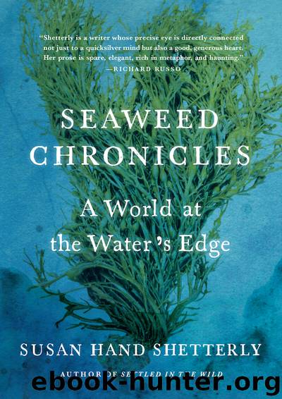 Seaweed Chronicles: A World at the Water’s Edge by Susan Hand Shetterly