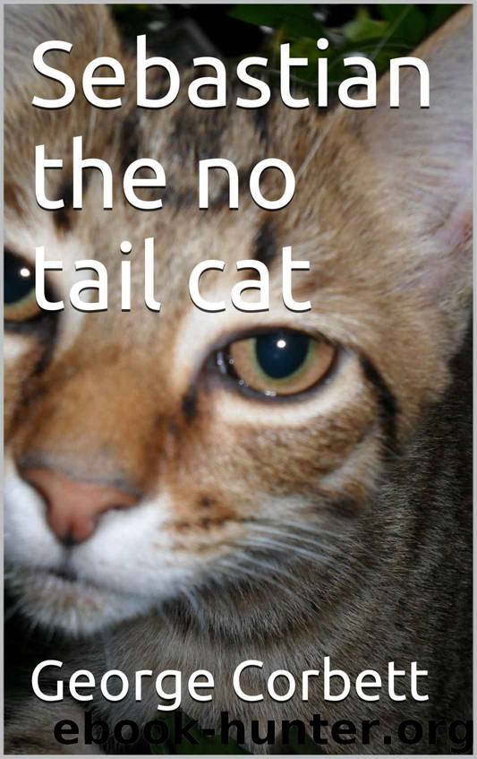 Sebastian the No Tail Cat by George Corbett