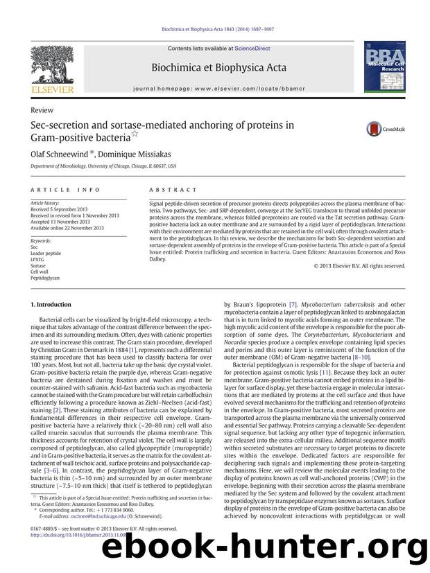 Sec-secretion and sortase-mediated anchoring of proteins in Gram-positive bacteria by Olaf Schneewind & Dominique Missiakas