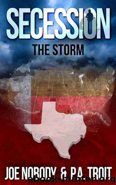 Secession: The Storm by Joe Nobody