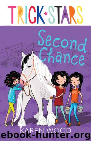 Second Chance (9781743437278) by Wood Karen