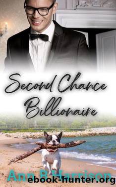 Second Chance Billionaire (The Billionaire's Club Book 1) by Ann B Harrison