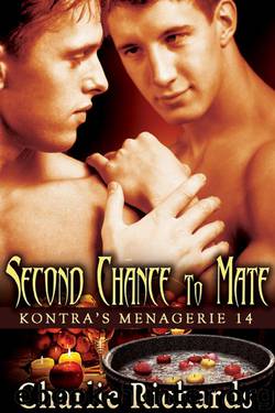 Second Chance to Mate by Charlie Richards