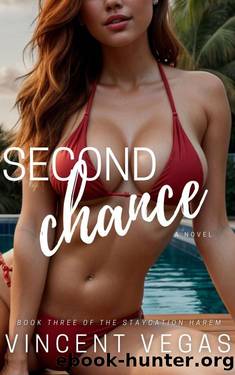 Second Chance: A Harem Adventure by Vincent Vegas