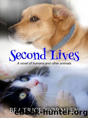 Second Lives by Beatrice Gormley