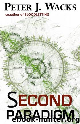 Second Paradigm by Peter J. Wacks