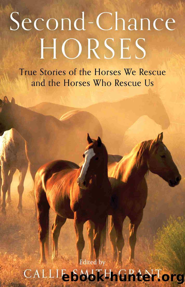 Second-Chance Horses by Callie Smith Grant