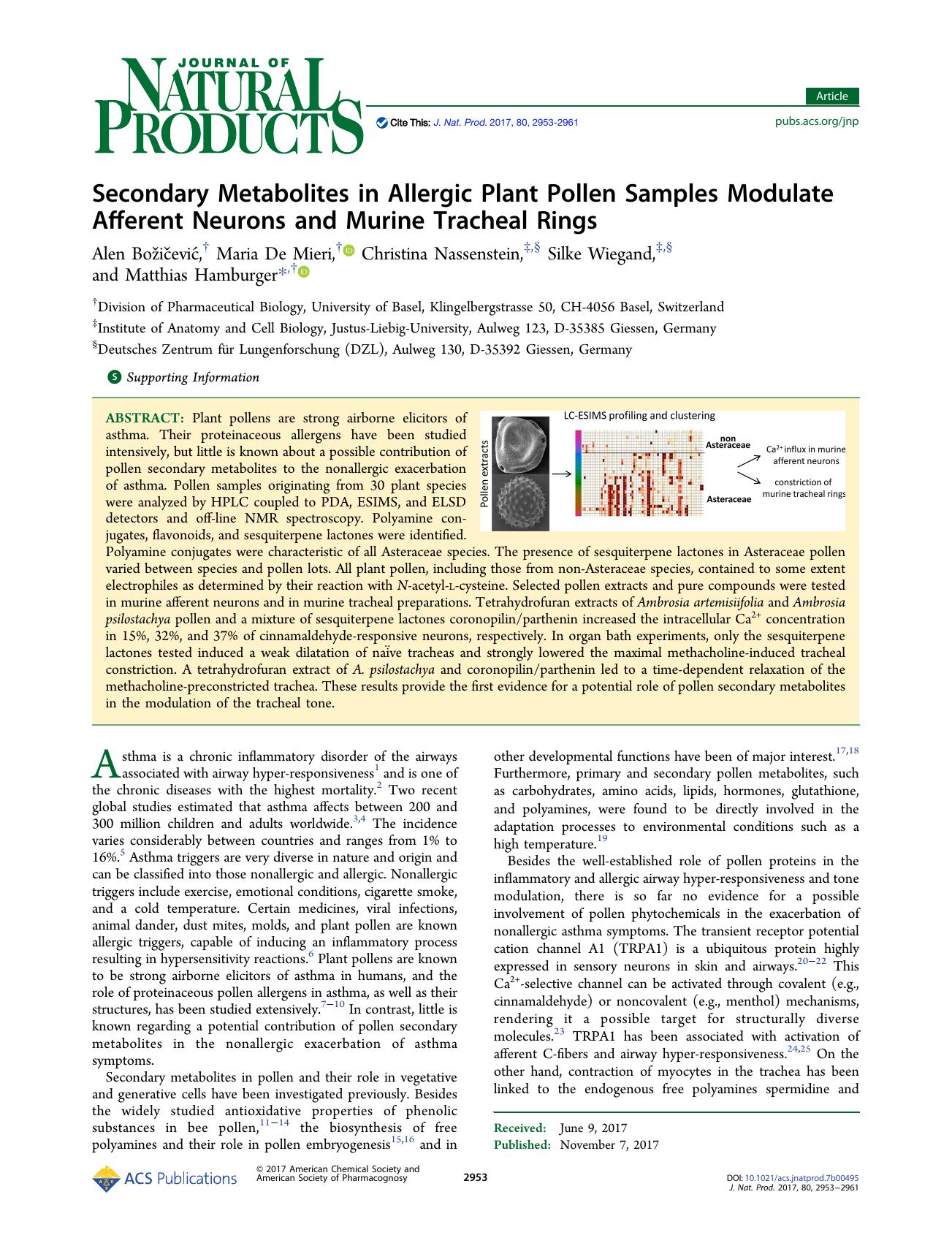 Secondary Metabolites in Allergic Plant Pollen Samples Modulate Afferent Neurons and Murine Tracheal Rings by Alen Božičević Maria De Mieri Christina Nassenstein Silke Wiegand & Matthias Hamburger