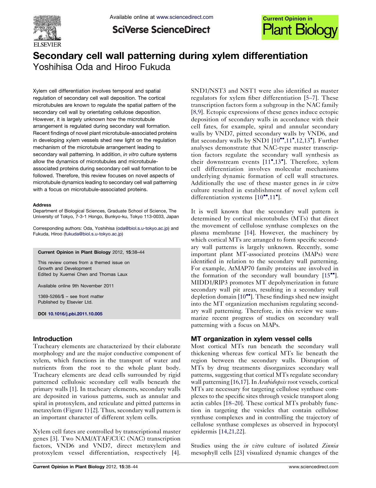 Secondary cell wall patterning during xylem differentiation by Yoshihisa Oda