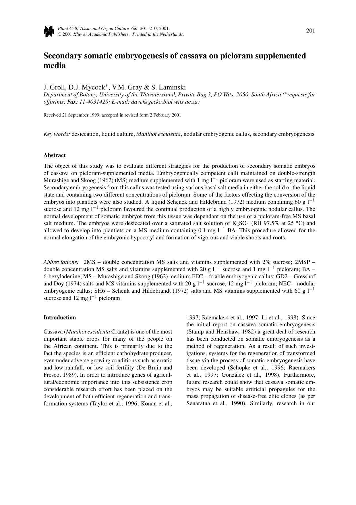 Secondary somatic embryogenesis of cassava on picloram supplemented media by Unknown
