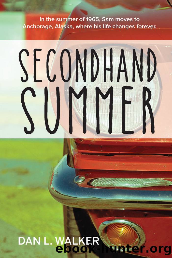 Secondhand Summer by Dan L. Walker