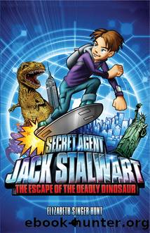 Secret Agent Jack Stalwart: Book 1 by Hunt Elizabeth Singer