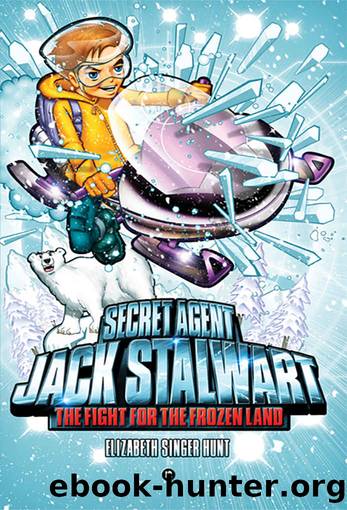 Secret Agent Jack Stalwart: Book 12 by Hunt Elizabeth Singer