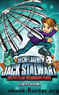 Secret Agent Jack Stalwart: Book 7: The Puzzle of the Missing Panda: China by Hunt Elizabeth Singer