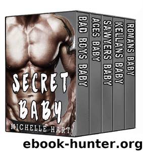 Secret Baby Complete Series Box Set by Michelle Hart
