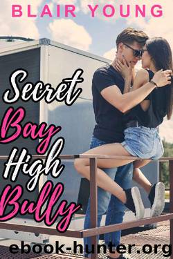 Secret Bay High Bully by Blair Young