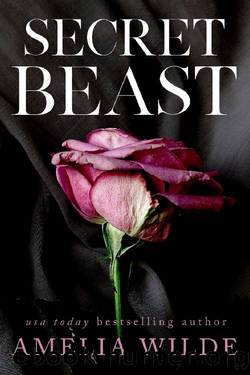Secret Beast by Amelia Wilde