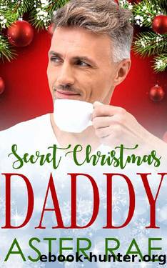 Secret Christmas Daddy by Aster Rae