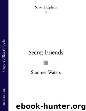 Secret Friends (Silver Dolphins, Book 2) by summer waters