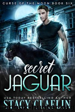 Secret Jaguar by Stacy Claflin
