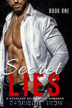 Secret Lies: A Stealthy Billionaire Romance (Secret Series Book 1) by Gabrielle Snow