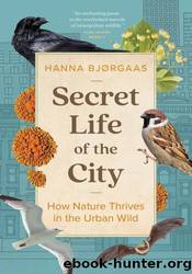 Secret Life of the City by Hanna Hagen Bjørgaas