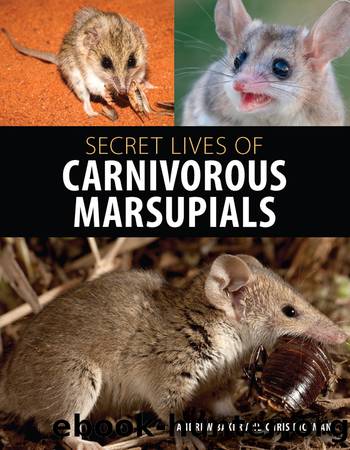 Secret Lives of Carnivorous Marsupials by Andrew Baker;Chris Dickman;